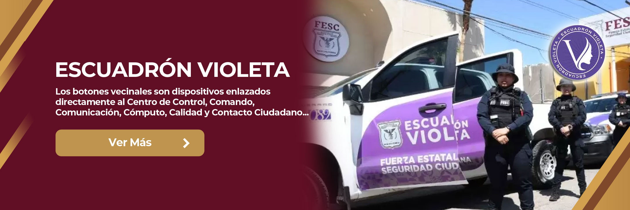 Escuadrón Violeta